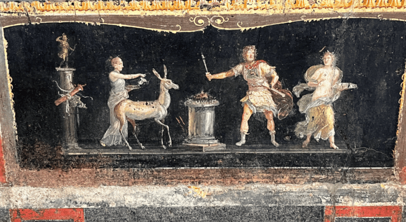 from-rome-pompeii-and-herculaneum-tour-w-high-speed-train