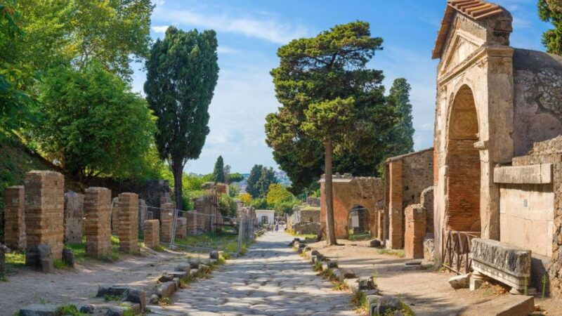 from-rome-pompeii-and-naples-day-trip-by-high-speed-train