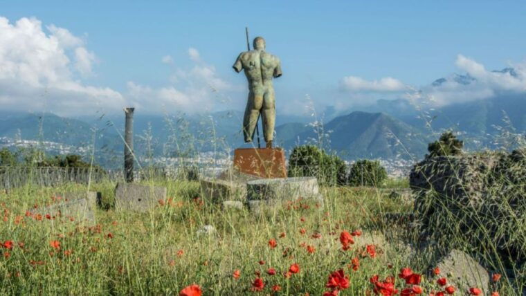 from-rome-pompeii-and-naples-day-trip-by-high-speed-train