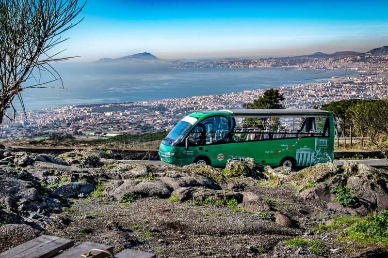 From Rome: Pompeii and Vesuvio Guided Day Trip with Lunch - Key Points