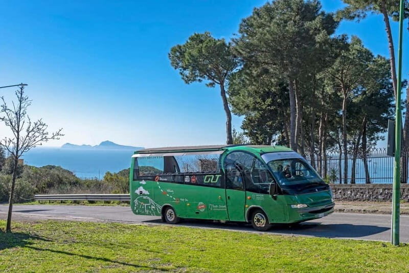 From Rome: Pompeii and Vesuvio Guided Day Trip with Lunch - The Itinerary in Detail