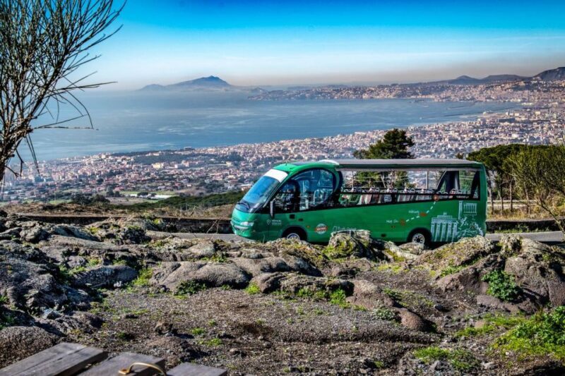 From Rome: Pompeii and Vesuvio Guided Day Trip with Lunch - Who This Tour is Best For