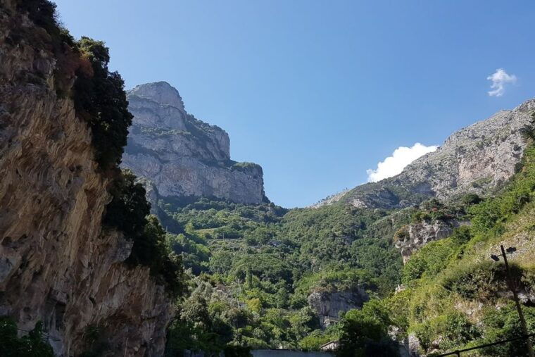 From Rome: Pompeii, Positano and Amalfi Full-Day Tour - Customer Reviews and Ratings