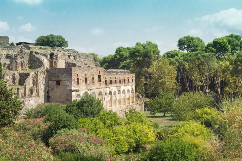 from-rome-pompeii-private-full-day-trip-with-tour