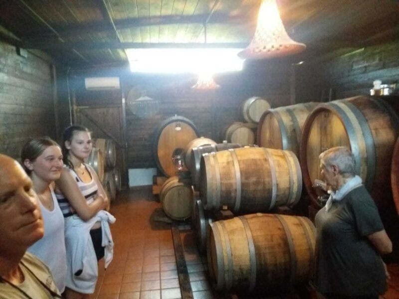 from-rome-pompeii-ruins-and-mt-vesuvius-with-lunchwine