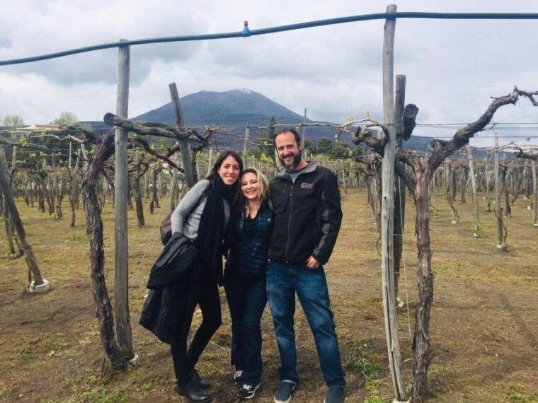 from-rome-pompeii-ruins-and-mt-vesuvius-with-lunchwine