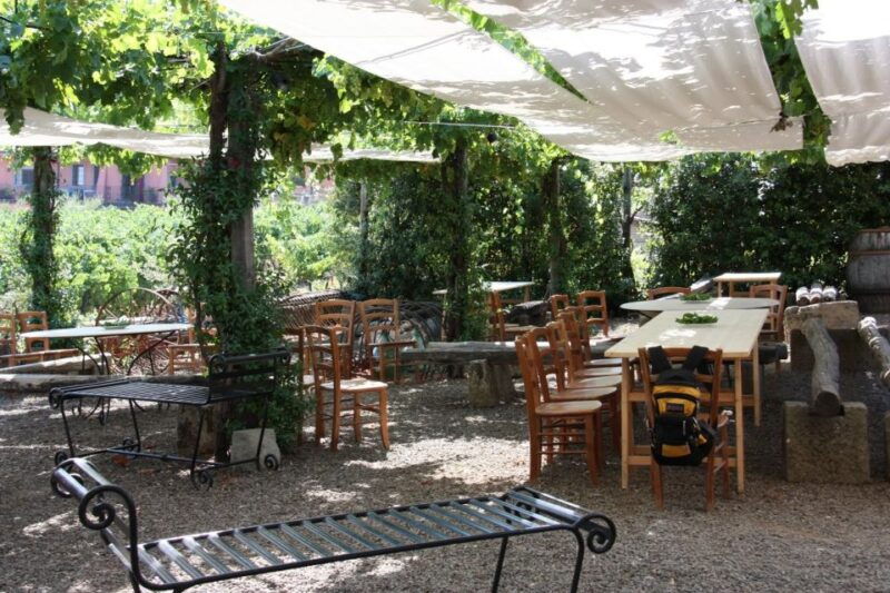from-rome-private-countryside-wine-tasting-with-lunch