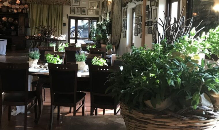 from-rome-private-countryside-wine-tasting-with-lunch