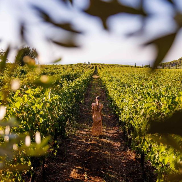 from-rome-private-day-tour-of-tuscany-2