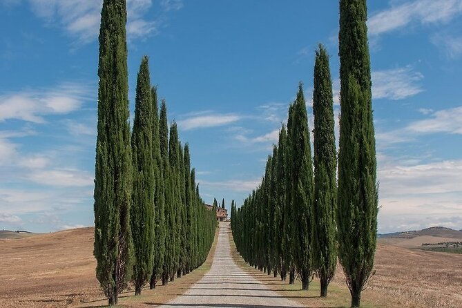 from-rome-private-day-tour-of-tuscany