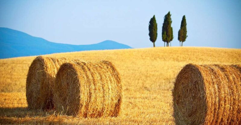 from-rome-private-tuscany-day-trip