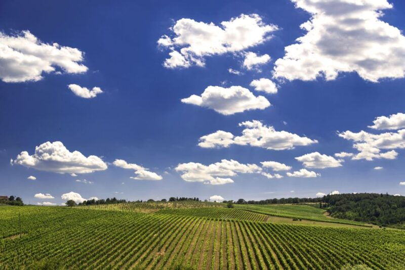 from-rome-private-tuscany-day-trip