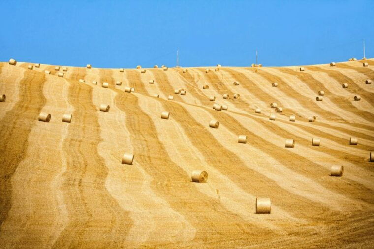 from-rome-private-tuscany-day-trip