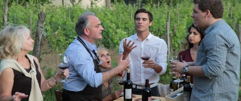 from-rome-siena-and-s-gimignano-private-tuscan-wine-tour