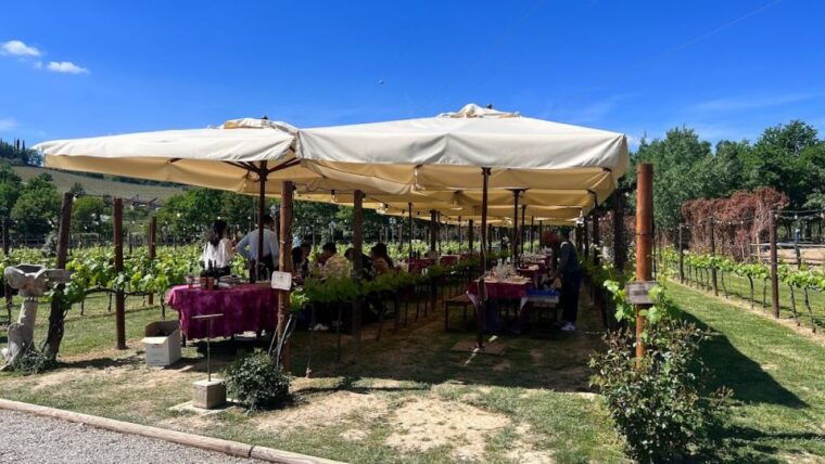 from-rome-siena-and-s-gimignano-private-tuscan-wine-tour