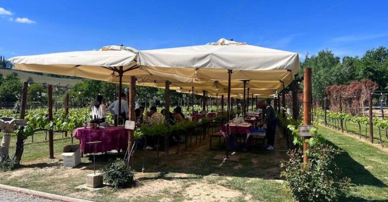 from-rome-siena-and-s-gimignano-tuscany-wine-one-day-tour