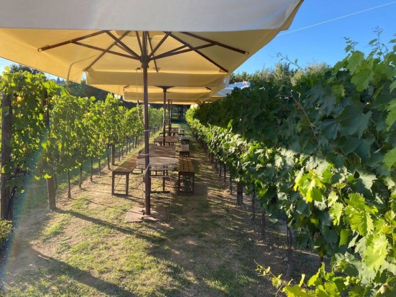 from-rome-siena-and-san-gimignano-tuscan-wine-day-tour