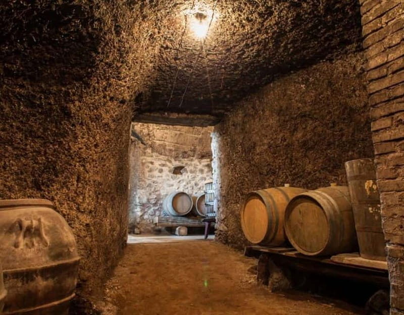 From Rome: Small Group Frascati Wine Tasting and Food Tour - A Journey to Frascati’s Charm: What to Expect