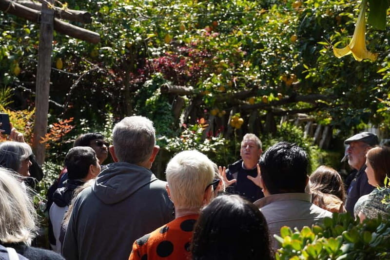 From Rome: Sorrento & Pompeii Day Trip with Guide or Ticket - The Sum Up