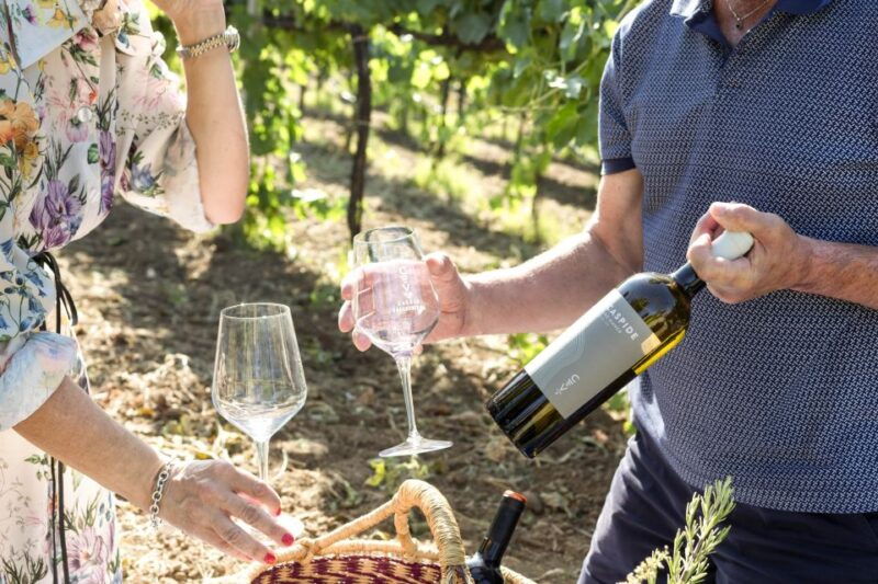 from-rome-tasting-tour-in-cellar-immersed-between-vineyards