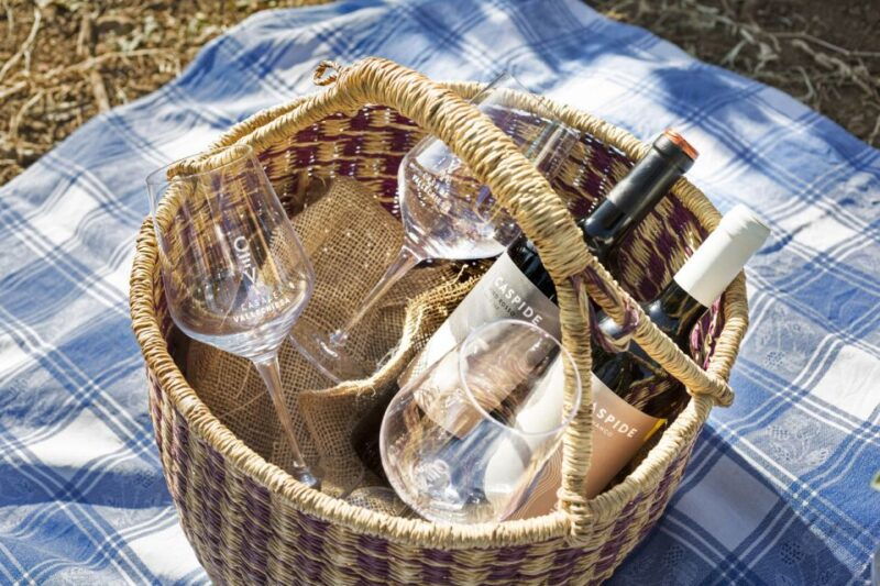 from-rome-tasting-tour-in-cellar-immersed-between-vineyards