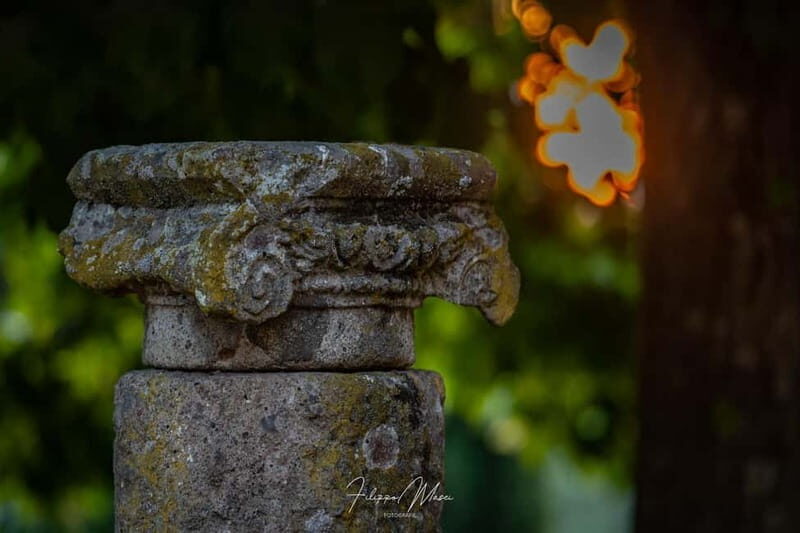 From Rome: TOP Reserved Tour Lanuvio & Tenuta Pantanacci with traditional lunch - An In-Depth Look at the Tour Experience