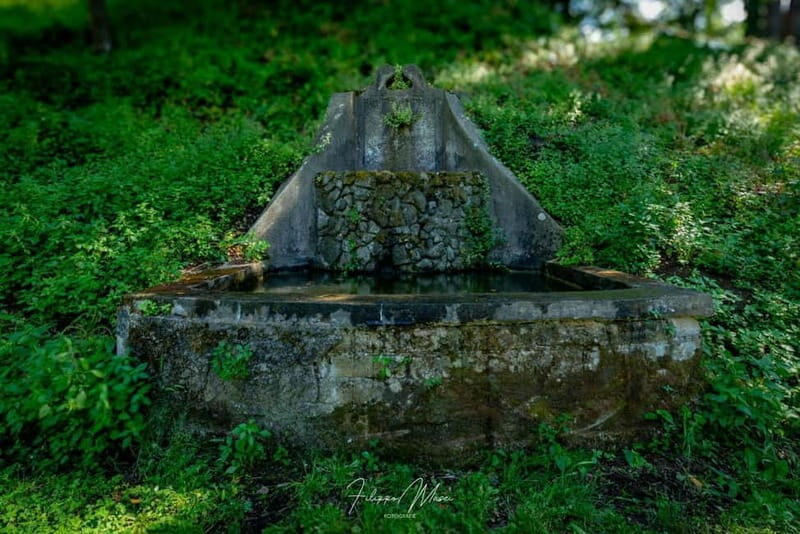 From Rome: TOP Reserved Tour Lanuvio & Tenuta Pantanacci with traditional lunch - Final Thoughts