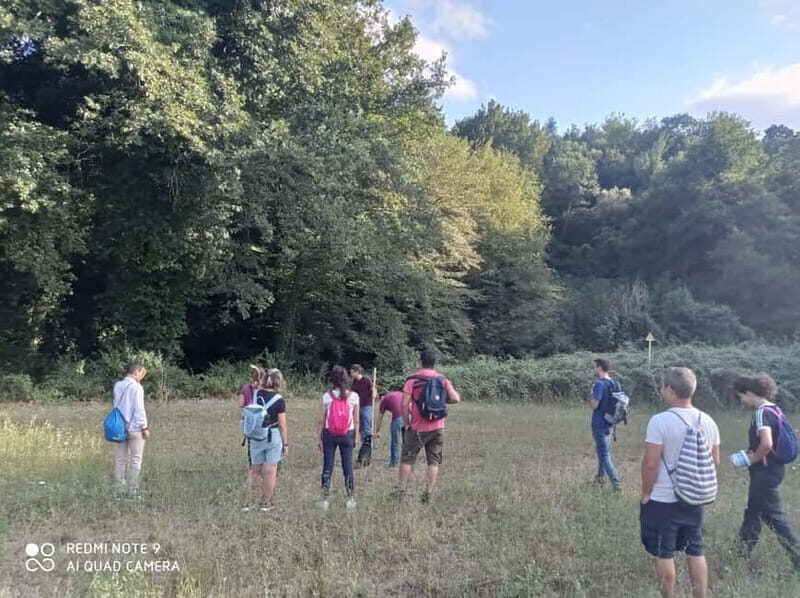From Rome: Trekking to Cesano's Woods with Lunch - The Guided Hike: What to Expect