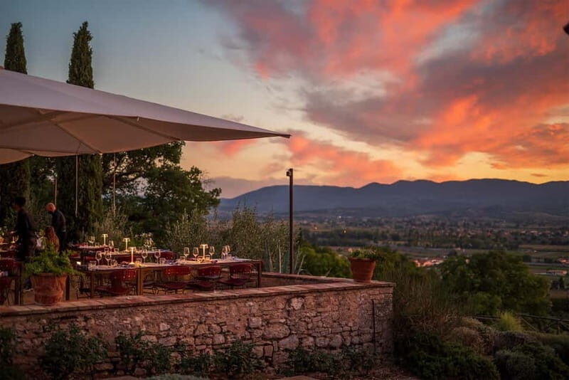 From Rome: Truffle Hunt and Wine Tasting in Umbria - A Detailed Look at the Experience