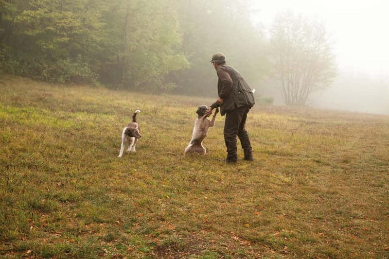 From Rome: Truffle Hunt and Wine Tasting in Umbria - Truffle Hunting at the Farm