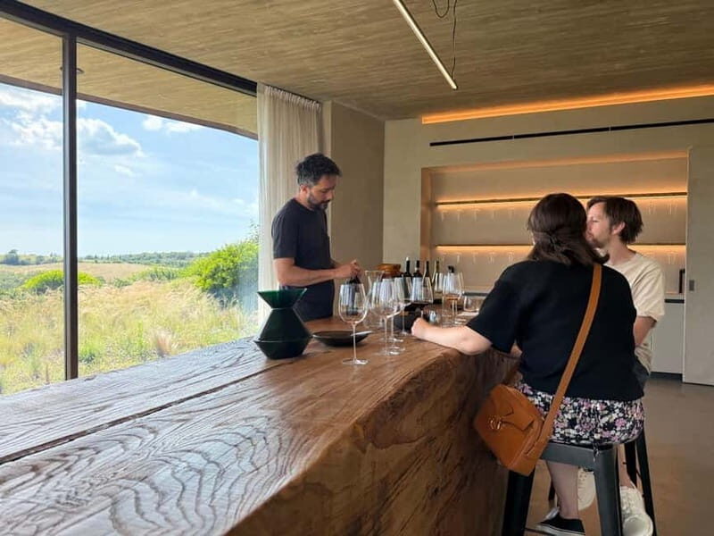 From Rome: Tuscany Day Trip with Lunch and Wine Tastings - What Makes This Tour Unique