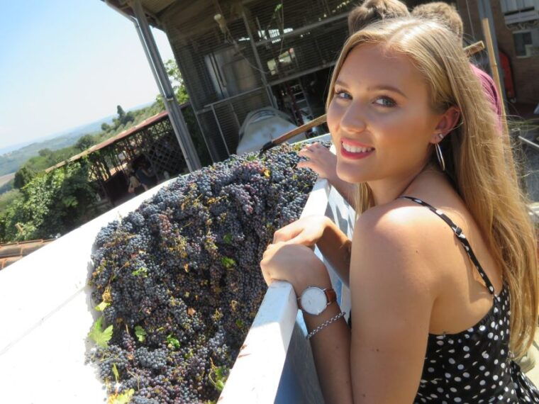 from-rome-tuscany-siena-with-wine-tasting-and-lunch