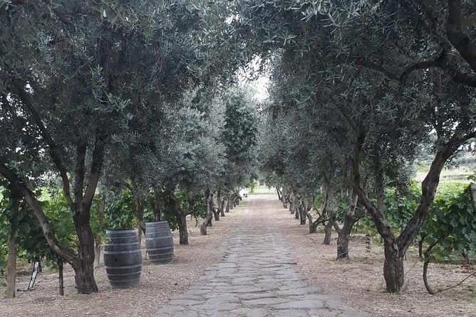 from-rome-wine-tasting-and-nemi-private-transportation