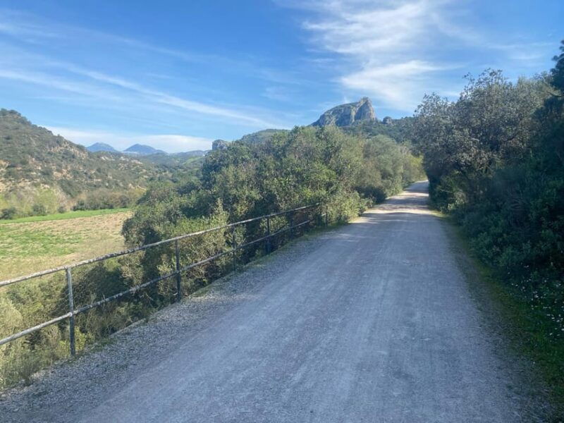 from-ronda-via-verde-de-la-sierra-easy-cycling-tour