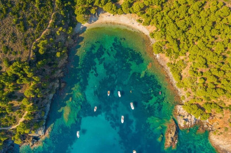 from-roses-an-underwater-world-of-adventures-with-swimming-and-underwater-vision