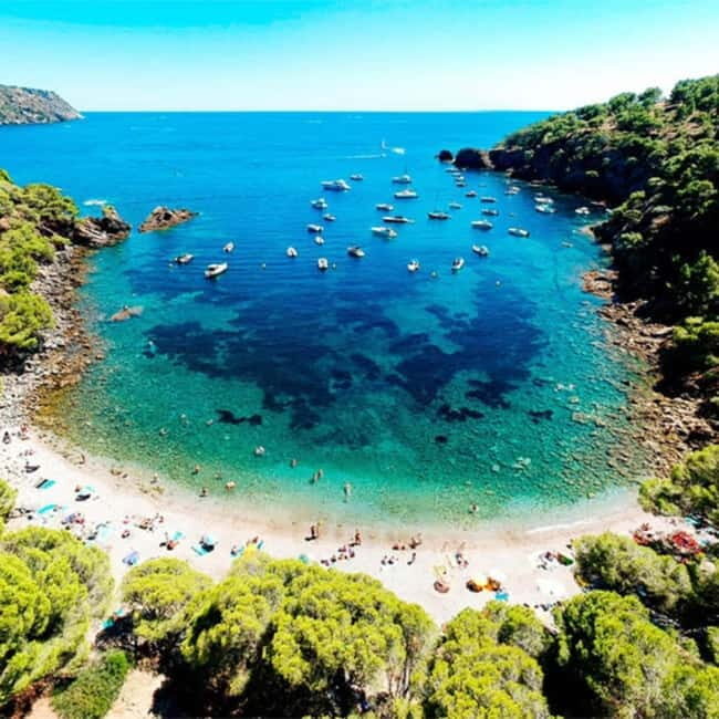From Roses: Cap Norfeu and Tamariu Cave Boat Tour - Final Thoughts