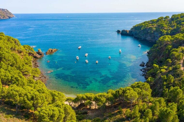from-roses-cap-norfeu-boat-cruise-swimming