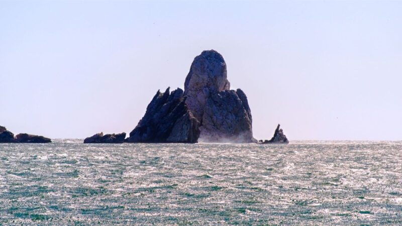 from-roses-medes-islands-boat-tour-with-el-estartit-visit