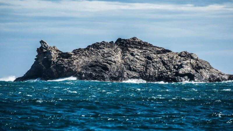 from-rosesadventure-in-cap-de-creus-discover-and-swim-in-a-wild-cove