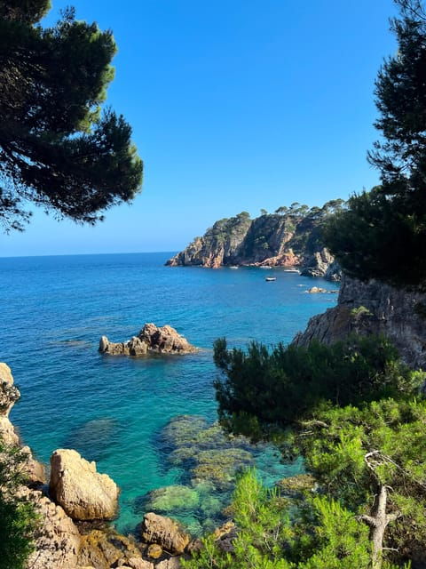 from-rosesadventure-in-cap-de-creus-discover-and-swim-in-a-wild-cove