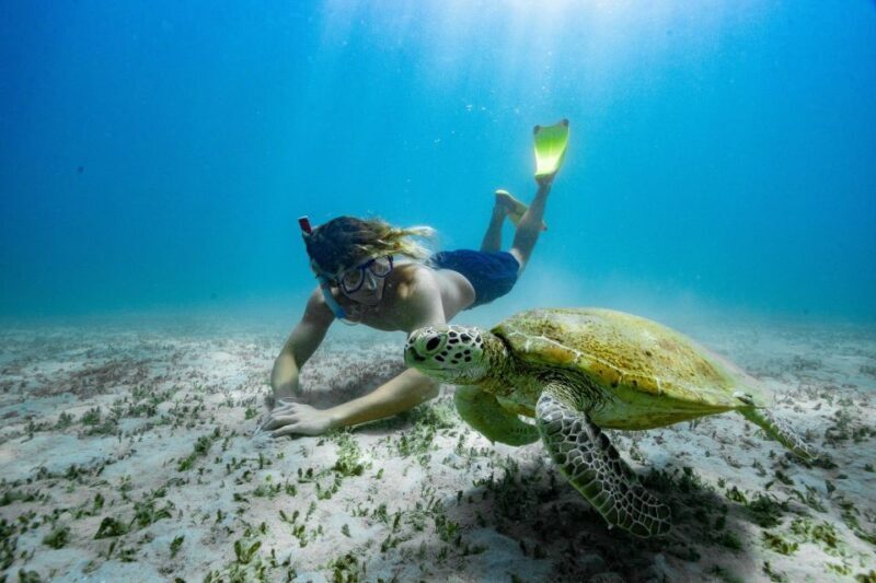 From Rosslyn: Great Keppel Island Adventure Tour with Lunch - The Value for Money