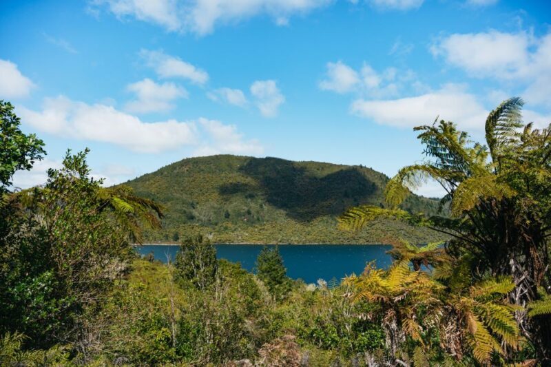 From Rotorua - WAI-O-TAPU - WAIKITE Pool & HUKA FALLS Cruise - From Rotorua – WAI-O-TAPU – WAIKITE Pool & HUKA FALLS Cruise Review
