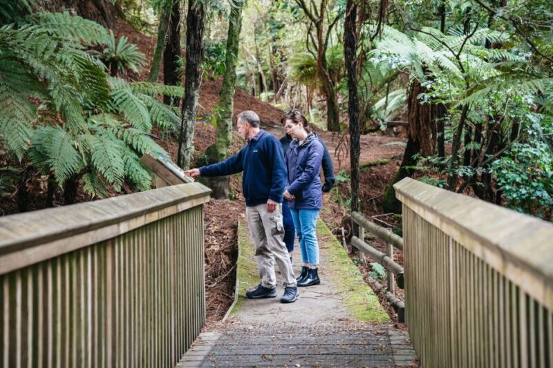 From Rotorua - WAI-O-TAPU - WAIKITE Pool & HUKA FALLS Cruise - Who Will Enjoy This Experience?