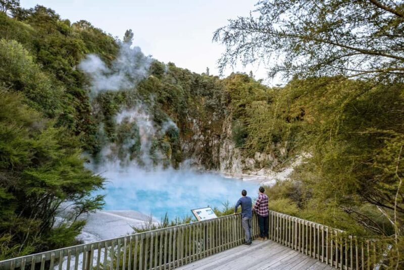 From Rotorua: WAIMANGU VOLCANIC VALLEY Half-Day Tour - Introduction