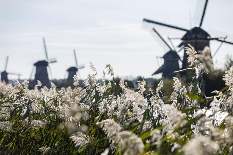 from-rotterdam-kinderdijk-delft-the-hague-private-tour