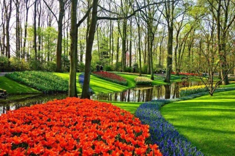 from-rotterdam-private-keukenhof-windmills-tour