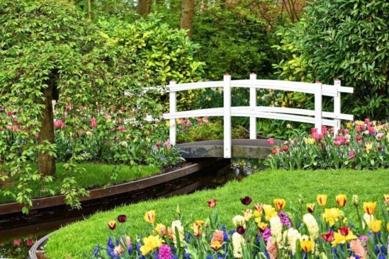 from-rotterdam-private-keukenhof-windmills-tour