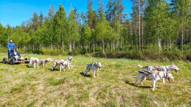 from-rovaniemi-autumn-husky-safari-adventure