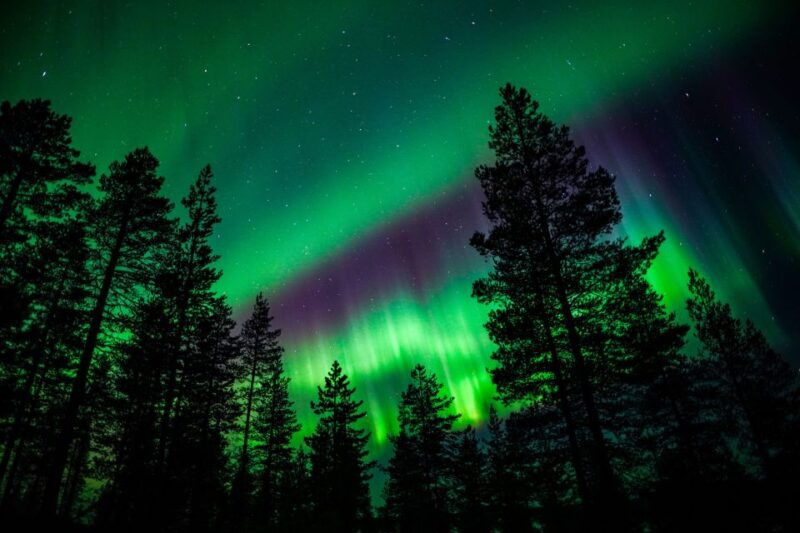 from-rovaniemi-family-friendly-northern-lights-tour