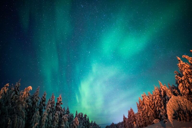 from-rovaniemi-family-friendly-northern-lights-tour